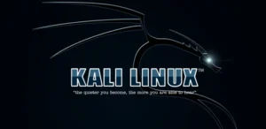 Hacking ético a un clic: Cómo usar Kali Linux desde tu navegador con Docker